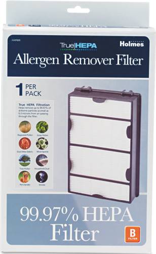 HOLMES REPLACEMENT MODULAR HEPA AIR FILTER FOR AIR PURIFIERS 1 I