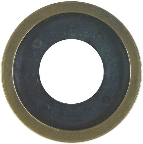 ANTIQUE BRASS RING FOR FLANGE - Click Image to Close