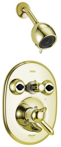 DELTA INNOVATIONS MONITOR 18 SERIES JETTED SHOWER TRIM, POLISHED - Click Image to Close