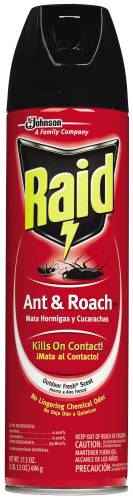 RAID ANT & ROACH SPRAY 17.5OZ