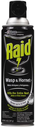RAID WASP & HORNET 14OZ - Click Image to Close