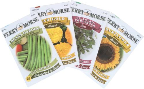 REPLACEMENT SEEDS MAMMOTH SUNFLOWER