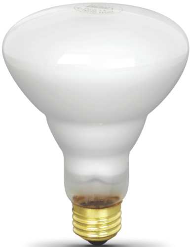 THE FEIT ELECTRIC 65-WATT BR40 INDOOR REFLECTOR FLOOD BULB FLOOD - Click Image to Close