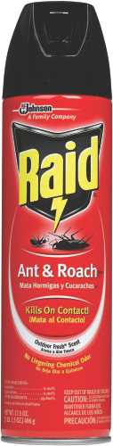 KILLER RAID ANT & ROACH 17.5 OUNCE AEROSOL - Click Image to Close