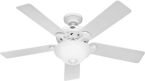 HUNTER FAN,THE BROOKLINE 52 IN., 5 BLADE WHITE LARGE ROOM LIGHT - Click Image to Close