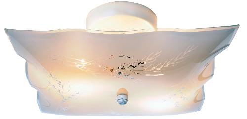 FLUSH MOUNT CEILING LIGHT 6 IN WHITE - Click Image to Close