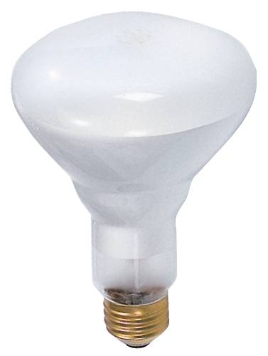 BR 30 LONG LIFE INDOOR FLOODLIGHT - Click Image to Close