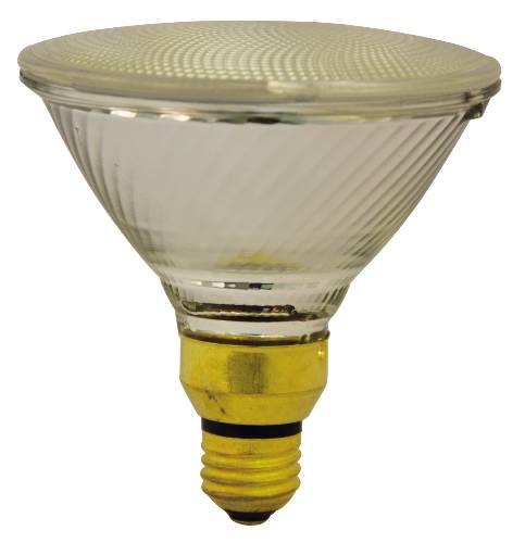 50 WATT TUNGSTEN HALOGEN PAR38 REFLECTOR LAMP