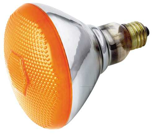 AMBER LAMP 100 WATT R38 - Click Image to Close
