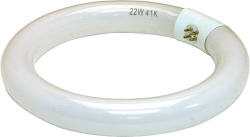 FLUORESCENT CIRCLINE LAMP 8 IN COOL WHITE - Click Image to Close