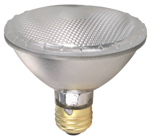 INDOOR AND OUTDOOR PAR 30 HALOGEN PAR LAMP 90 WATT 120 VOLT - Click Image to Close