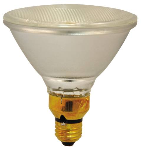 INDOOR AND OUTDOOR PAR 38 HALOGEN PAR LAMP 90 WATT 130 VOLT - Click Image to Close