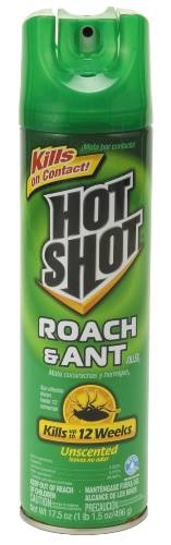 ROACH AND ANT KILLER 17.5 OZ