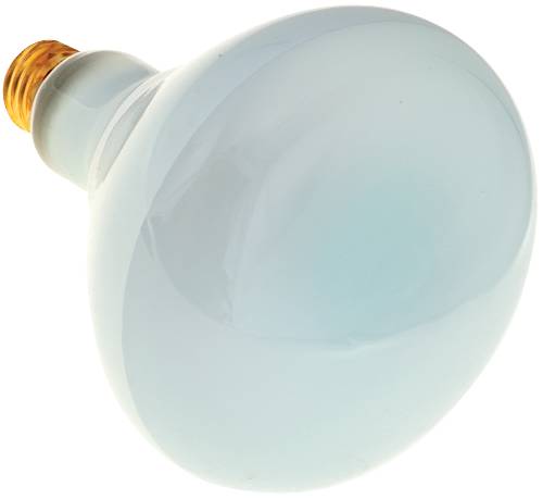 LAMP REFLECTOR FLOODLIGHT R20 65 WATT 685 LUMEN 120 VOLT